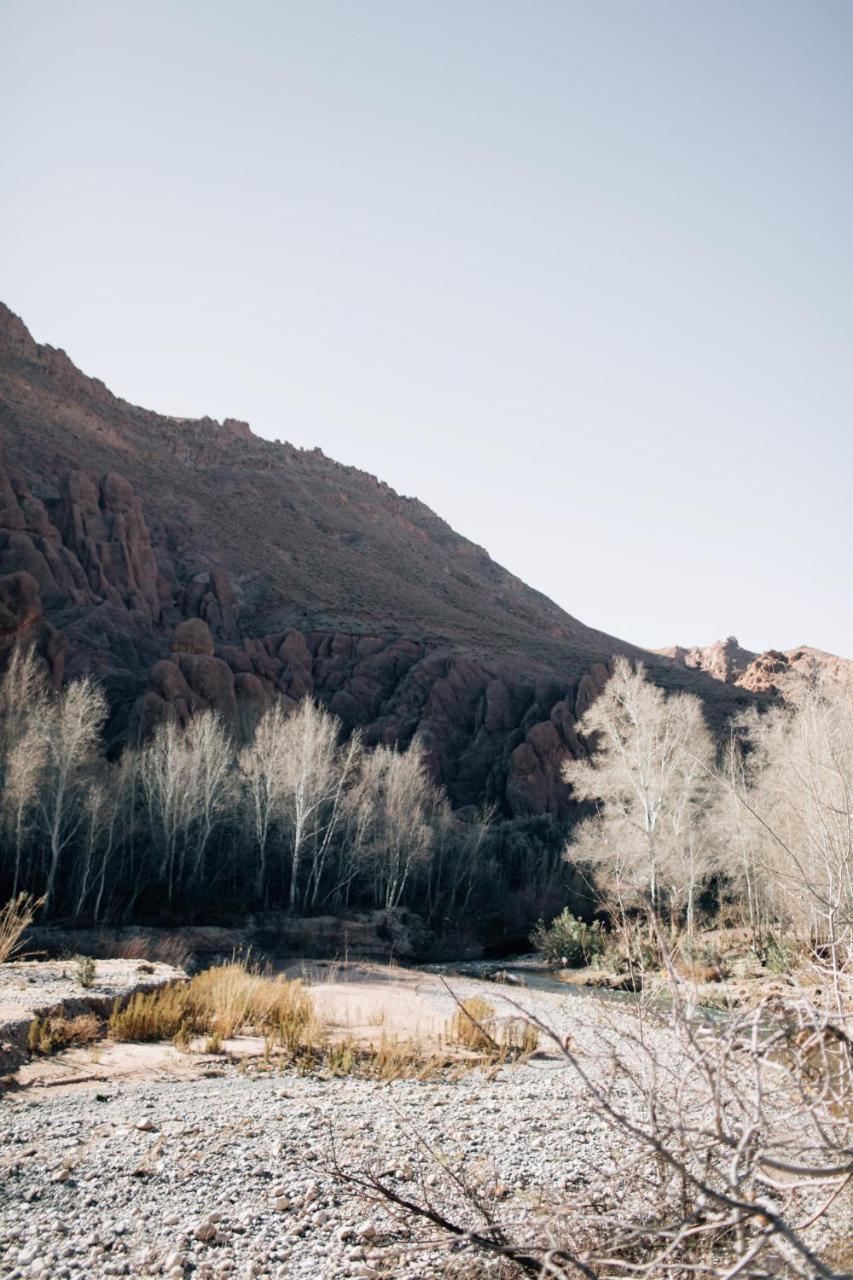 Tafsut Dades Guesthouse Stay With Locals Tamellalt  Екстериор снимка